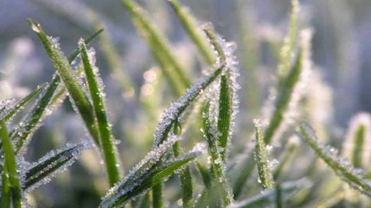 வாட்டி வதைக்கும் குளிர்!  3.5 பாகைக்கு அதிரடியாகச் சரிந்தது நுவரெலியா