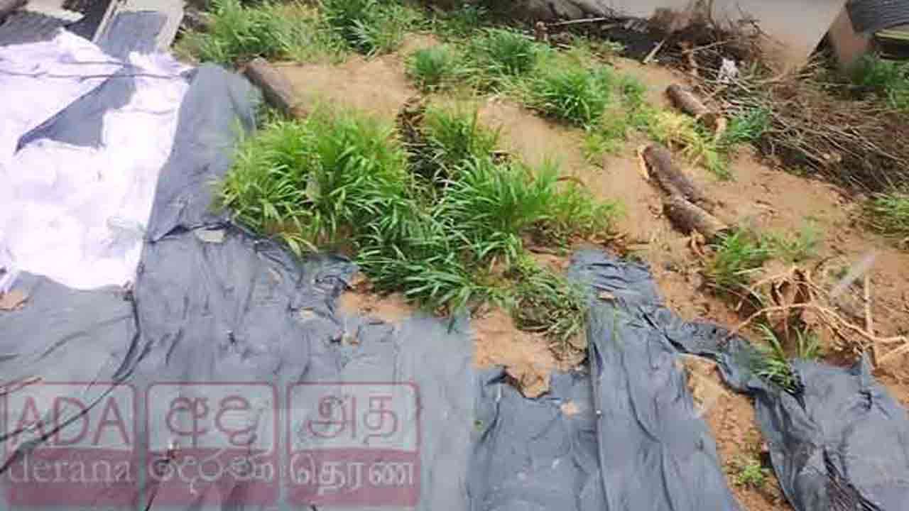 பதுளை பிரபல பாடசாலையில் மண்சரிவு அபாயம்