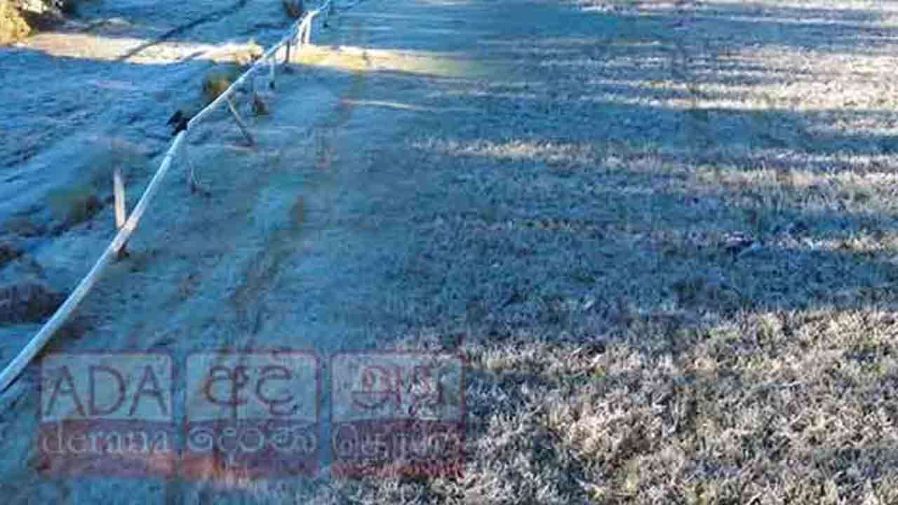 நுவரெலியாவில் ரம்மியமான உறைபனித் தோற்றம்