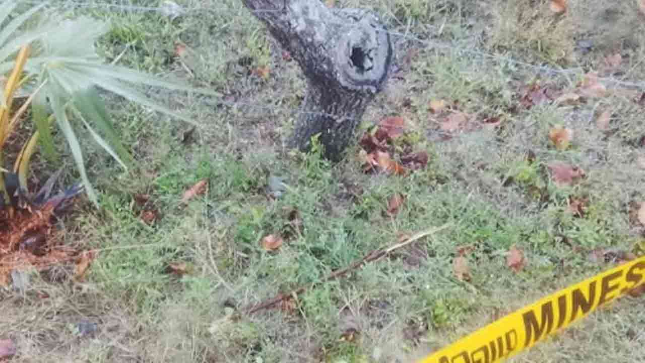 கிளிநொச்சியில் கண்டுப்பிடிக்கப்பட்ட கைக்குண்டு 