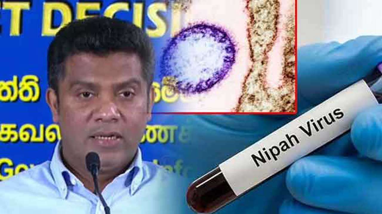 நிபா வைரஸ் பரவல்: இலங்கையில் விசேட கண்காணிப்பு நடவடிக்கை!