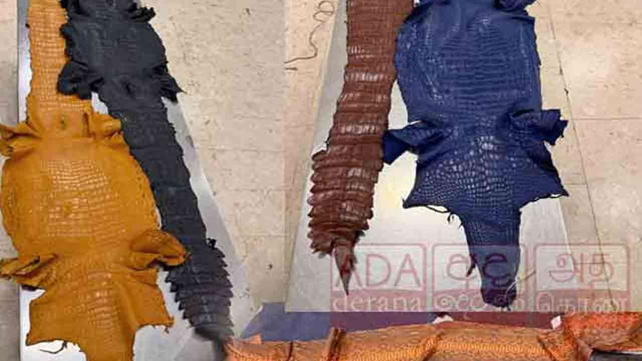 விலங்குத் தோல்களுடன் விமான நிலையத்தில் ஒருவர் கைது