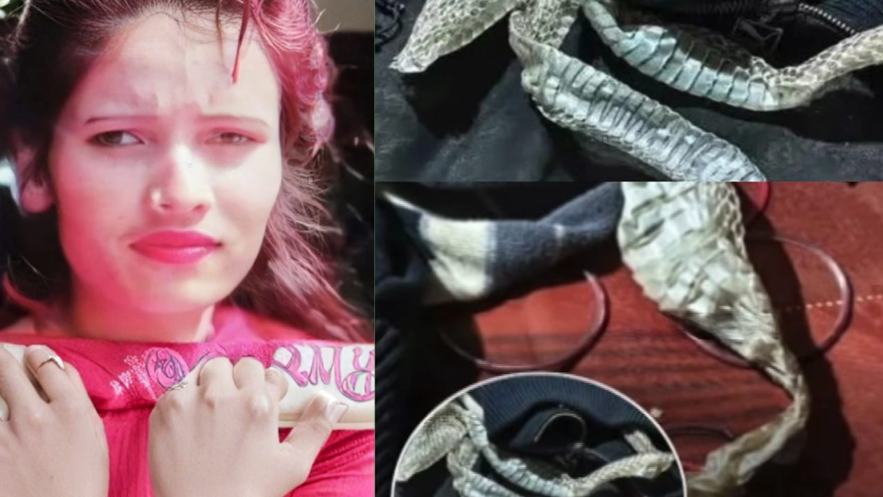 திருமணத்திற்கு முன் நாகினியாக மாறிய இளம்பெண்?