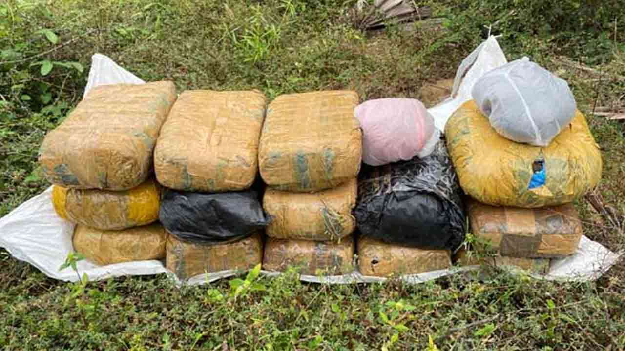 105 இலட்சம் பெறுமதியான கஞ்சா மீட்பு 