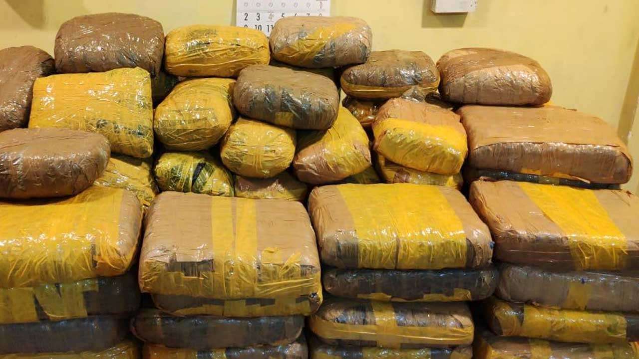 அதிகளவான கஞ்சாவுடன் ஒருவர் கைது 