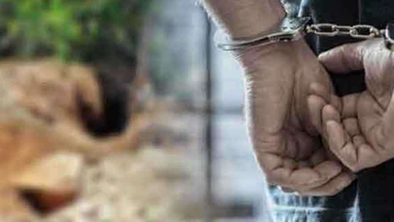 லுணுகலையில் புதையல் தோண்டிய அறுவர் கைது