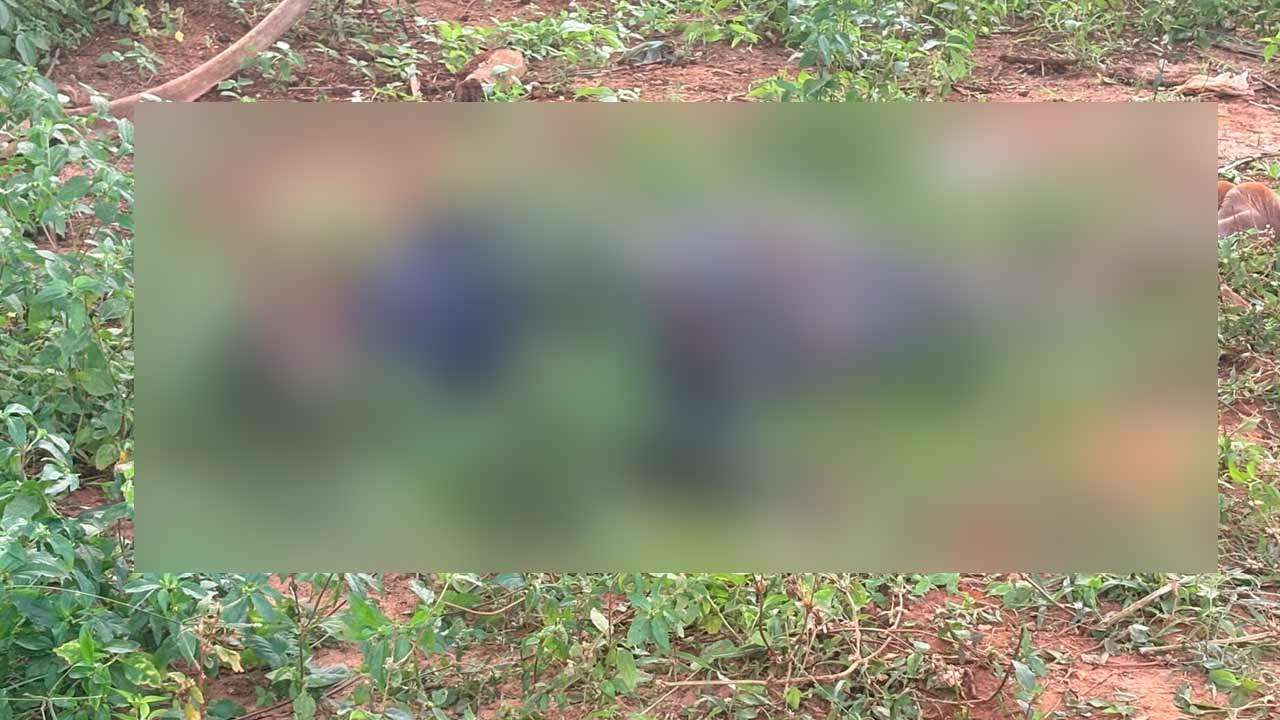 யாழ்ப்பாணத்தில் காணித் தகராறு: ஒருவர் அடித்துக் கொலை 