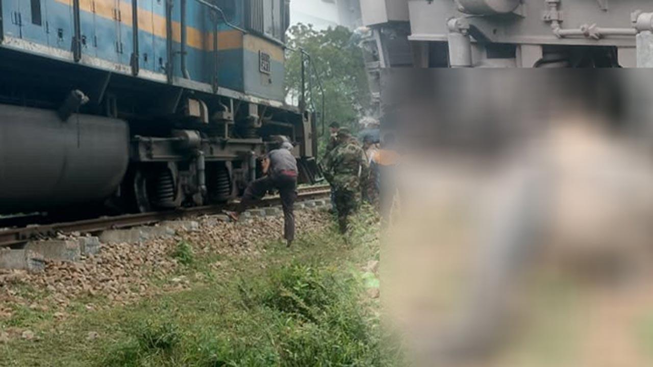 ரயிலில் மோதி காட்டு யானை உயிரிழப்பு!