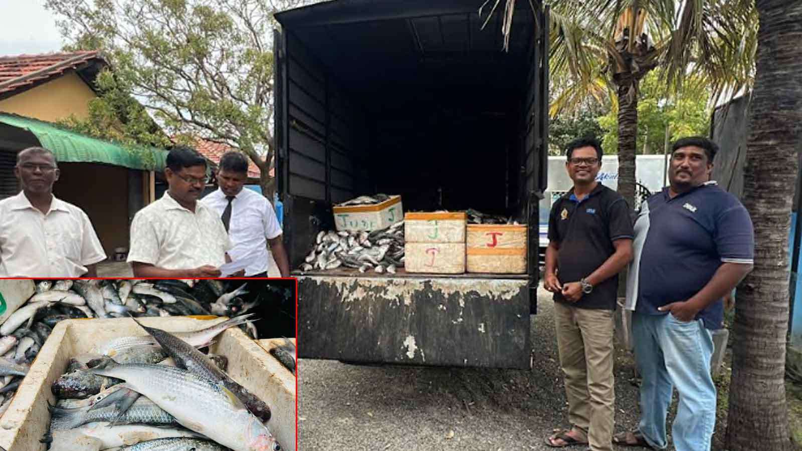 டைனமைட் வெடிபொருள் பாவித்து மீன் பிடி