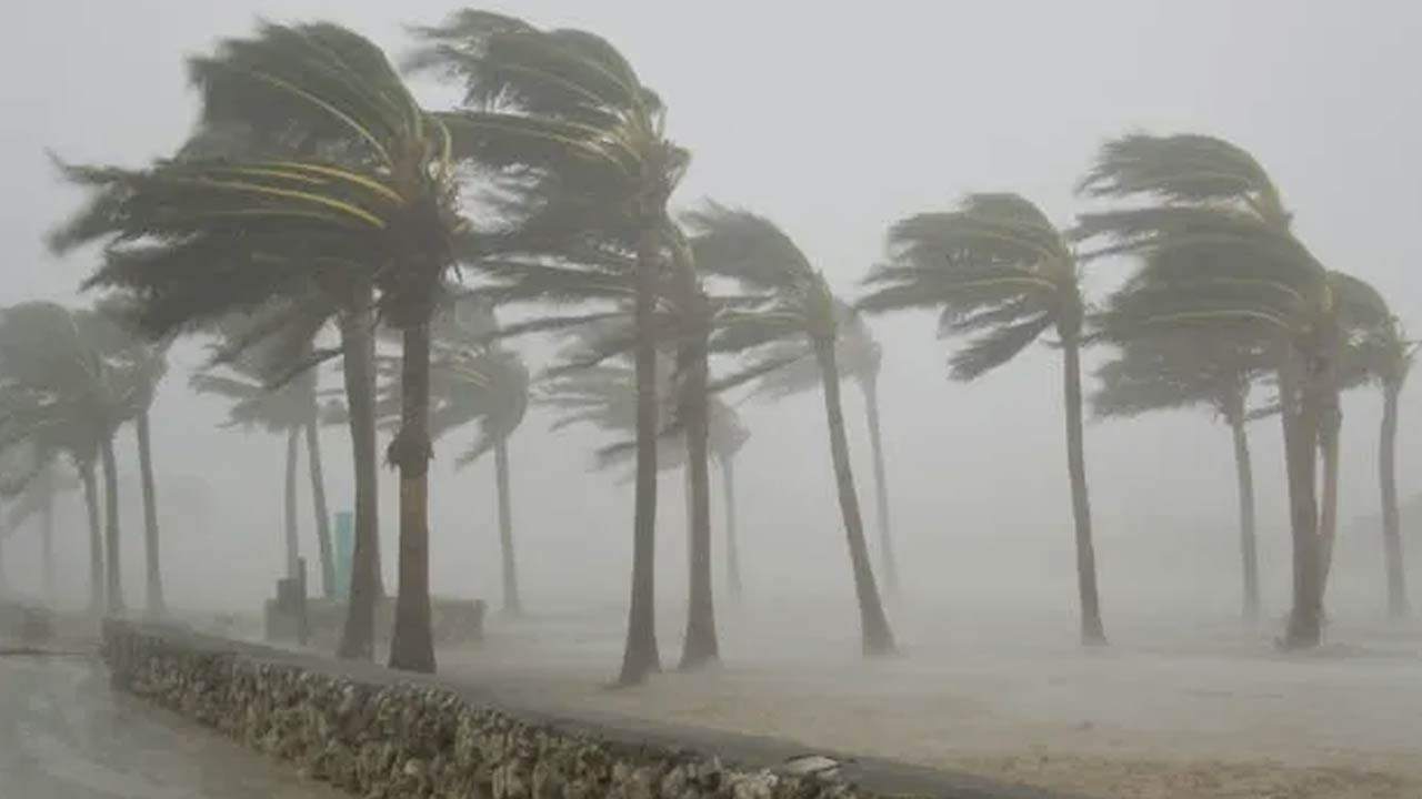 பலத்த காற்று மற்றும் மழை குறித்து எச்சரிக்கை