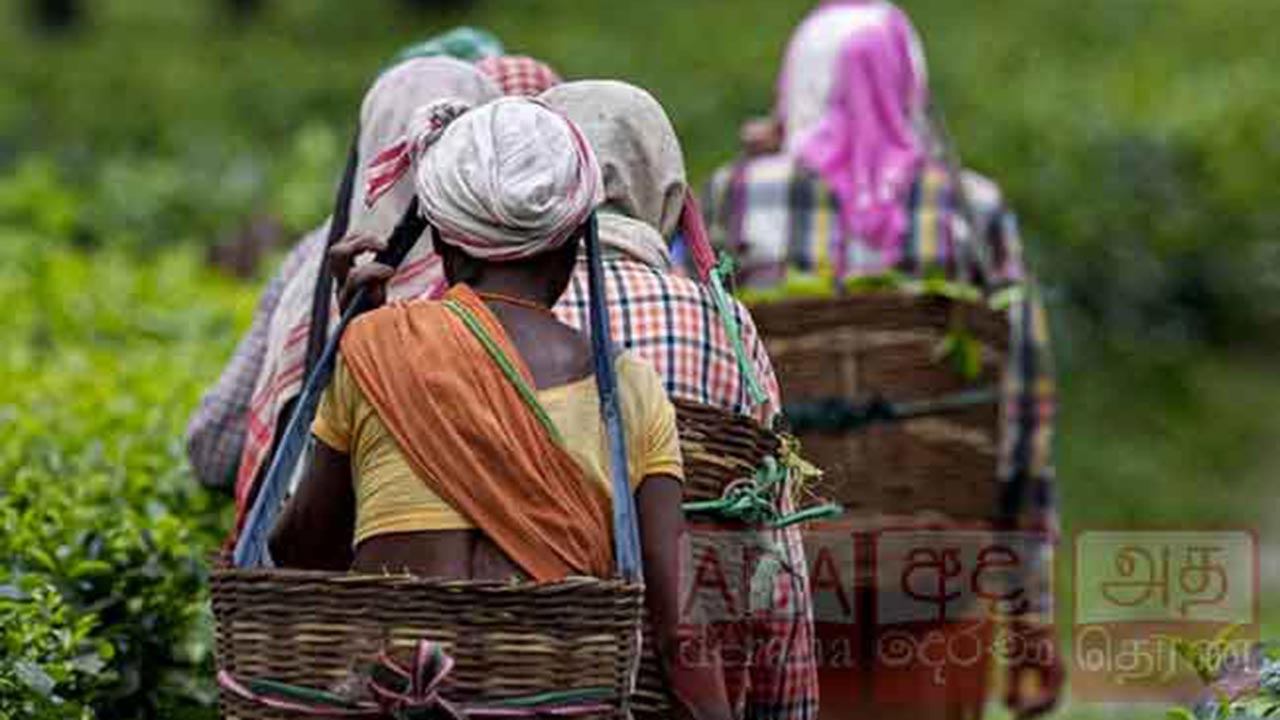 தோட்டத் தொழிலாளர்களின் 200 ரூபா கொடுப்பனவுக்குச் சட்ட அங்கீகாரம் அவசியம்!