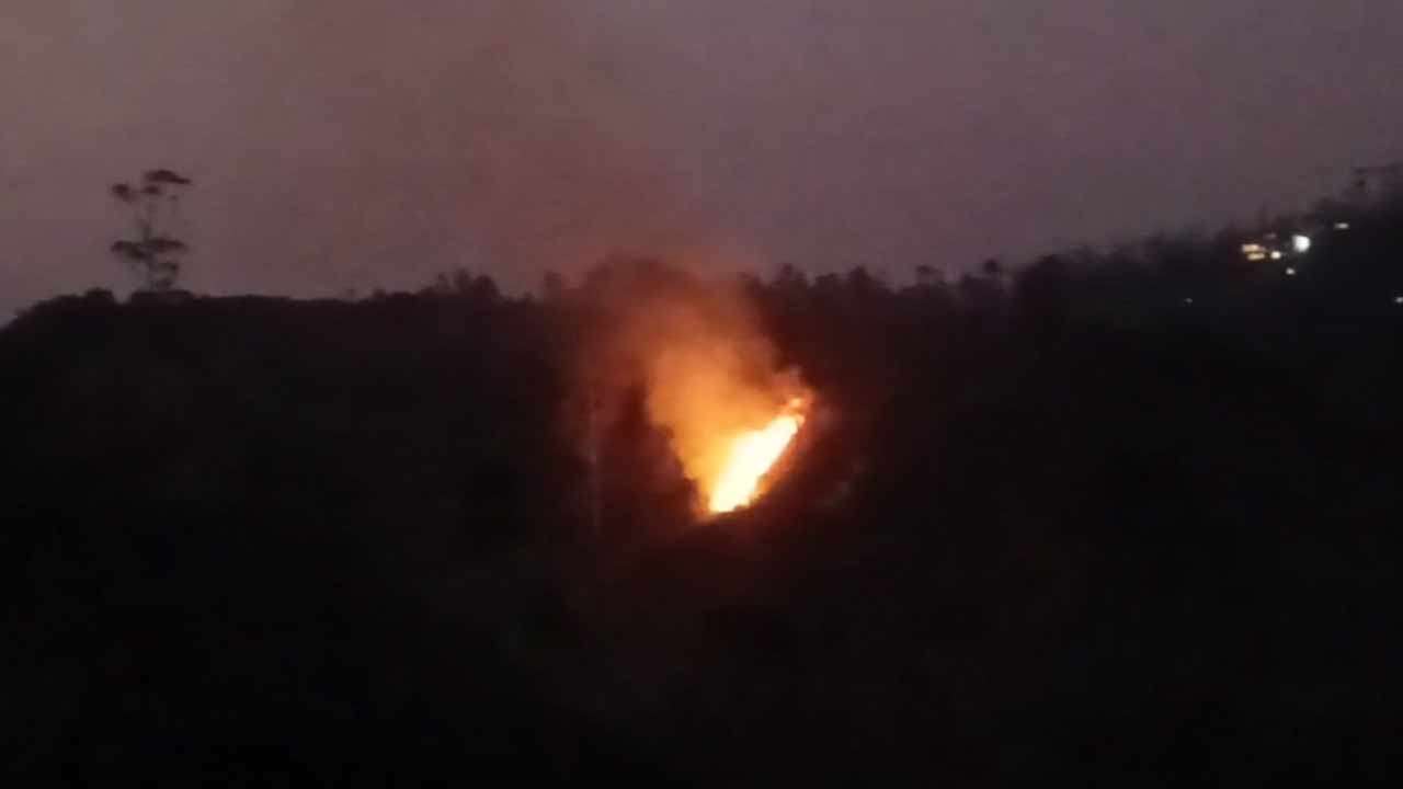 ஹட்டன் குடாகம வனப்பகுதியில் விஷமிகளால் தீ வைப்பு