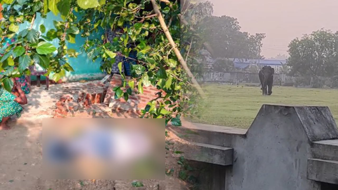 குடியிருப்புக்குள் புகுந்த காட்டு யானை தாக்குதலில் மூதாட்டி பலி!