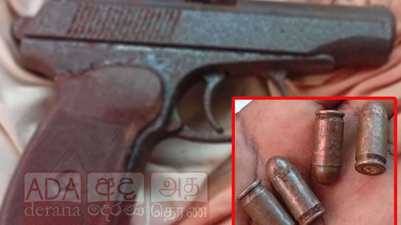 கட்டானையில் தோட்டாக்களுடன் துப்பாக்கி மீட்பு 