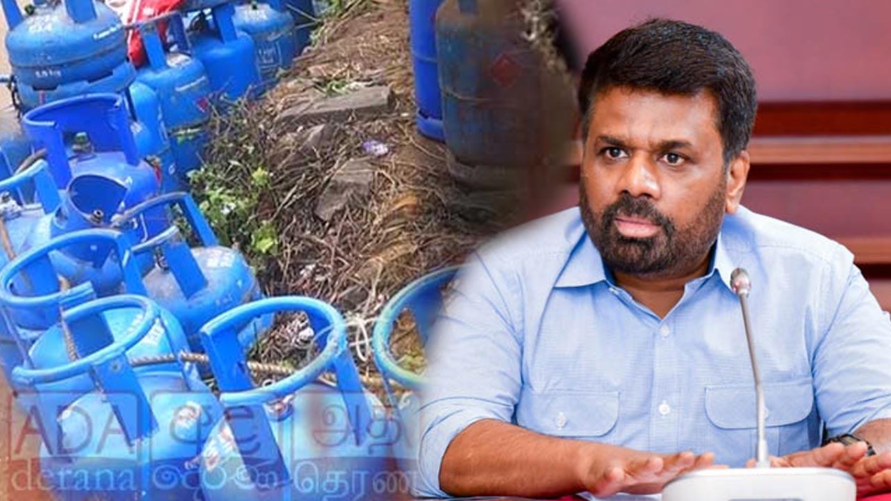 எரிவாயு நெருக்கடியின் பின்னணி குறித்து ஜனாதிபதி விளக்கம்