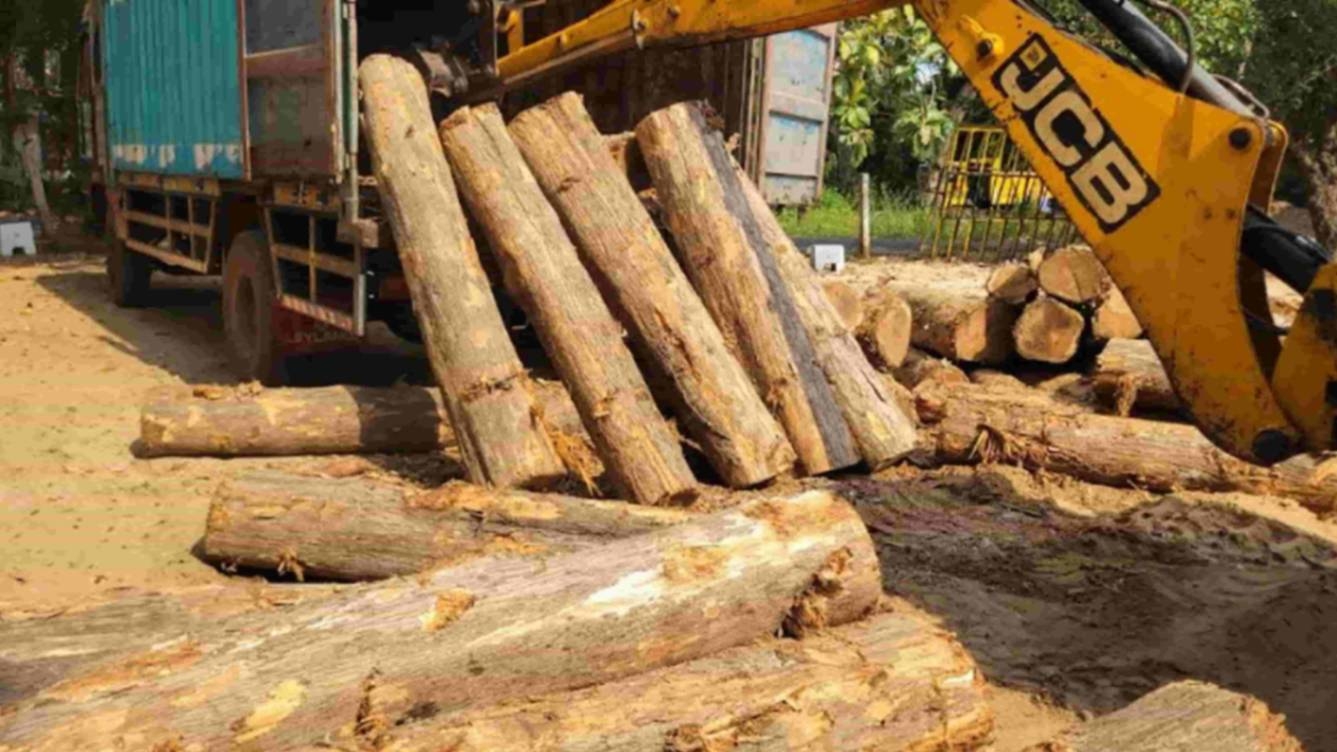 தேக்குமரக் குற்றிகளை கடத்திய சாரதி கைது