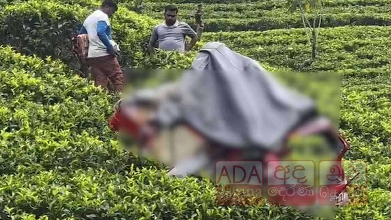 70 அடி பள்ளத்தில் பாய்ந்த முச்சக்கர வண்டி!