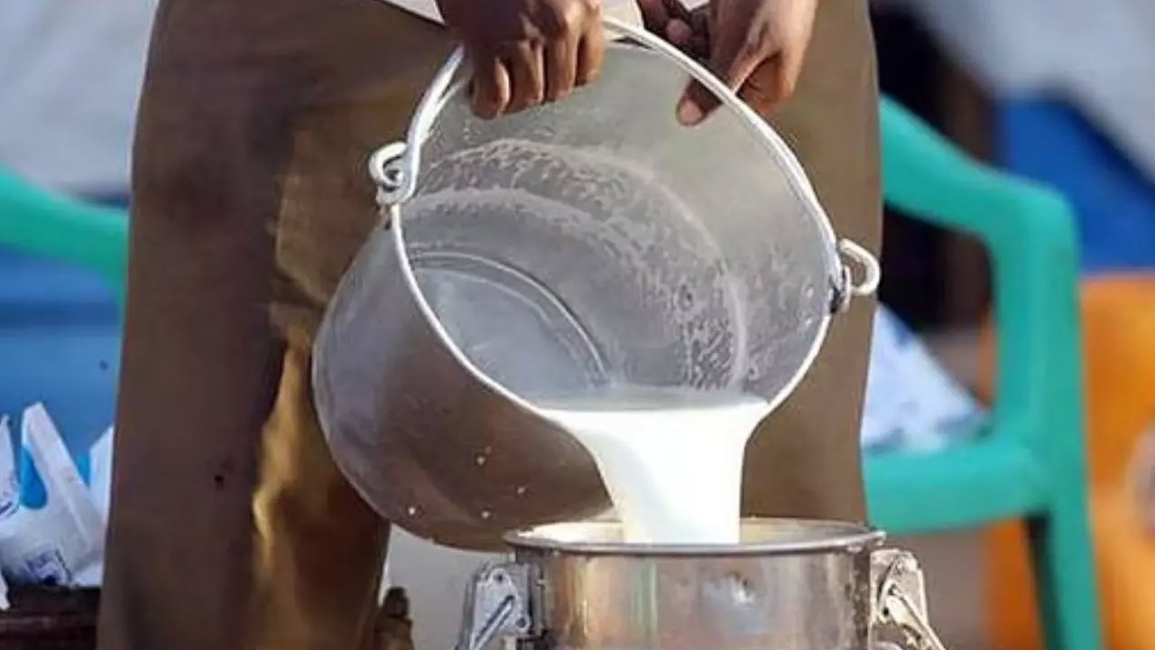 கலப்பட பால் குடித்து 13 பேர் பலி!