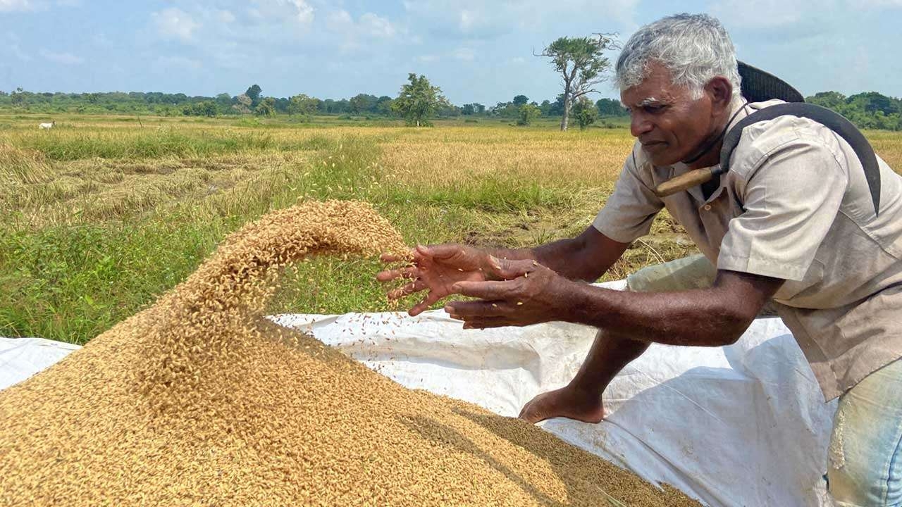 விவசாயிகளுக்கு  QR குறியீடு இன்றி எரிபொருள் விநியோகம்