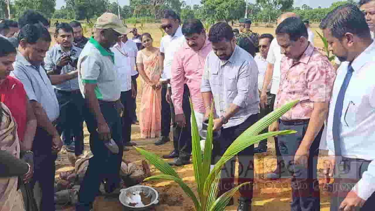 விதை தென்னை தோட்டத்தை ஆரம்பித்த ஜனாதிபதி