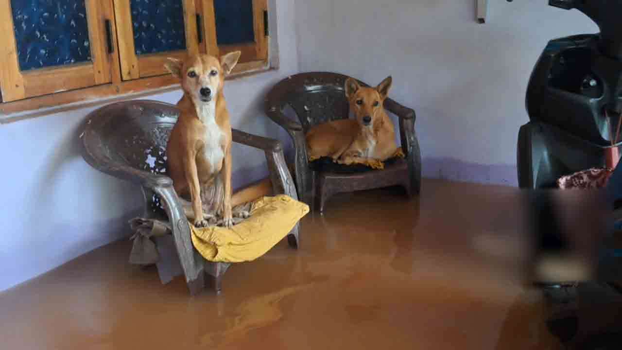 முல்லைத்தீவில் சீரற்ற காலநிலை காரணமாக  4 முகாம்களில் 2,080 பேர்!
