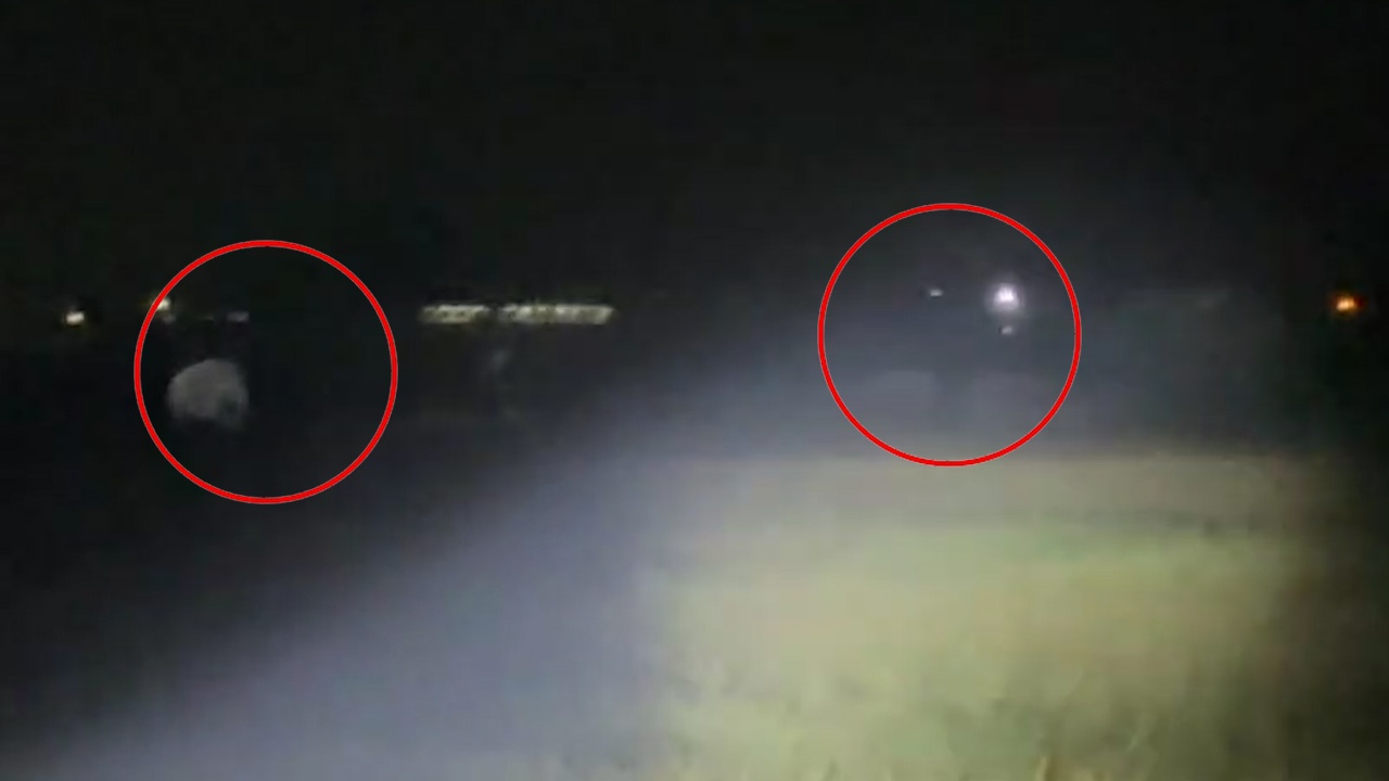 திருப்பந்துறைக்குள் புகுந்த 6 யானைகள்!