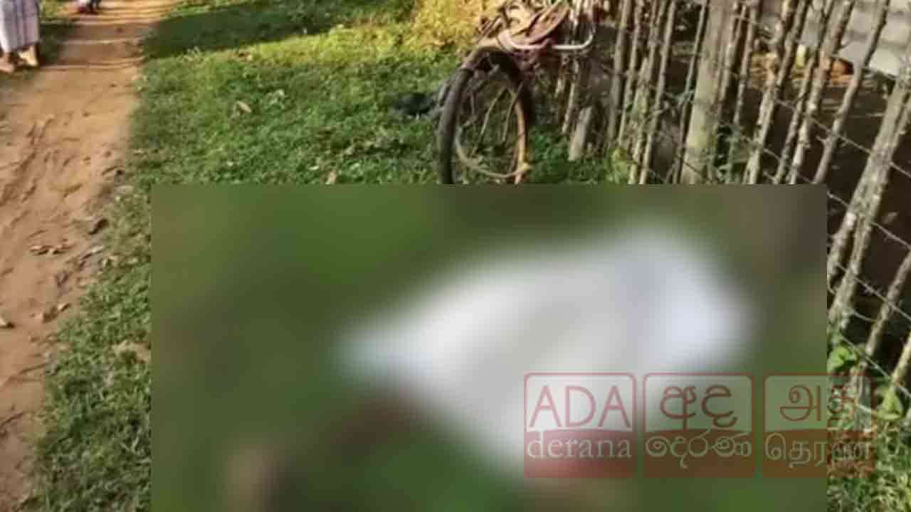 ரயில் விபத்தில் ஒருவர் பலி!