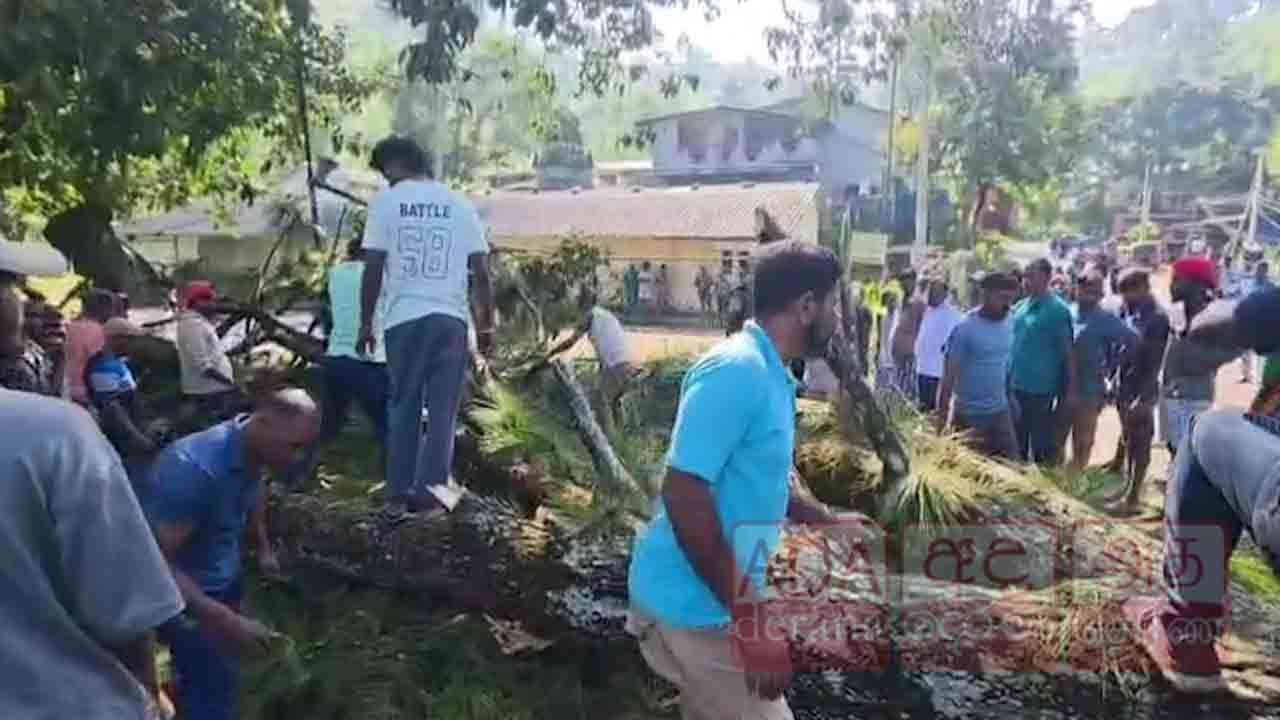 மரம் முறிந்து விழுந்ததால் ஒரு மணி நேரம் போக்குவரத்து பாதிப்பு