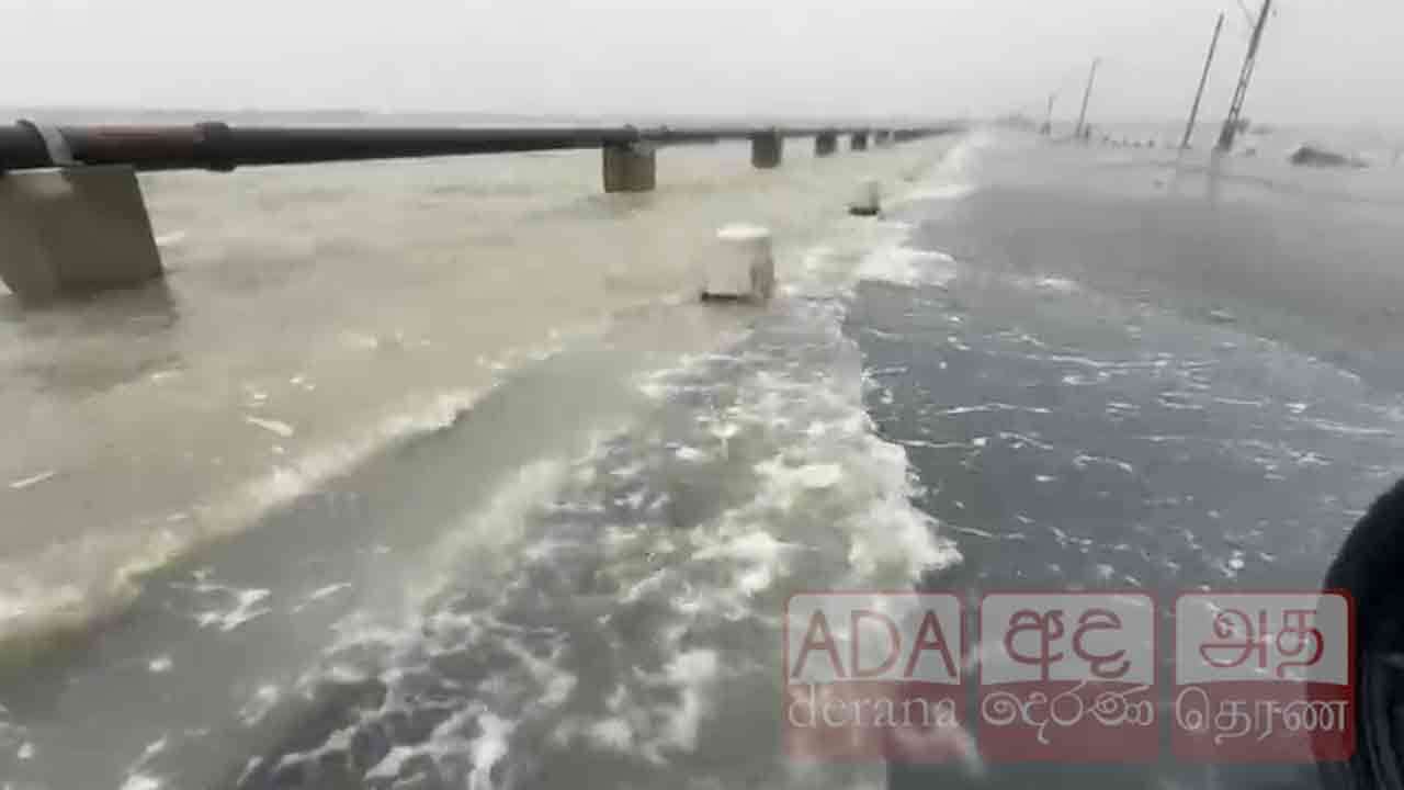 நல்லூரில் வீடொன்றின் மீது முறிந்து விழுந்த மரம்!