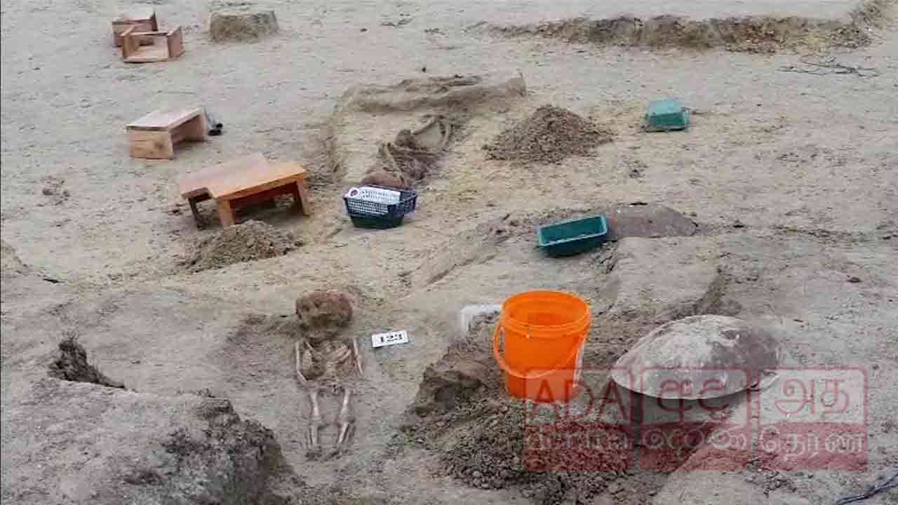 இதுரை 130 மனித எலும்புக்கூடுகள் அடையாளம்!