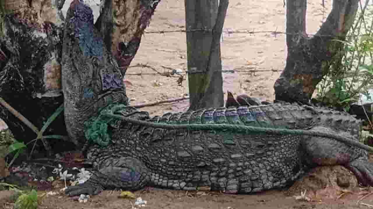 எமக்கு வாக்களித்த மக்களுக்கு நன்றி