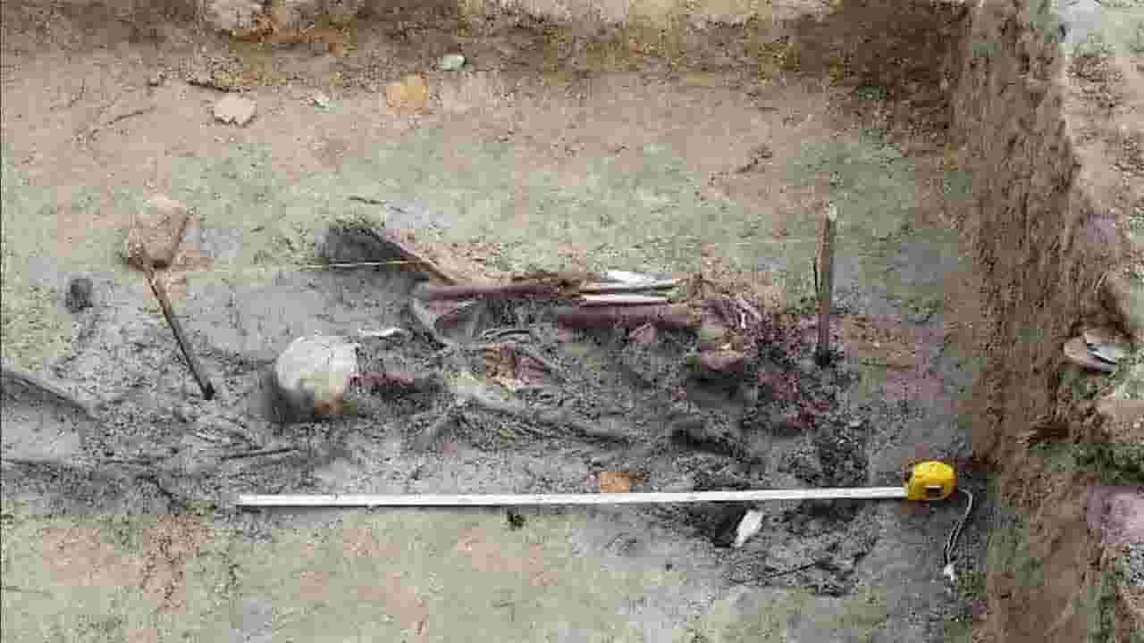03 எலும்பு கூட்டு தொகுதிகள் அடையாளம்