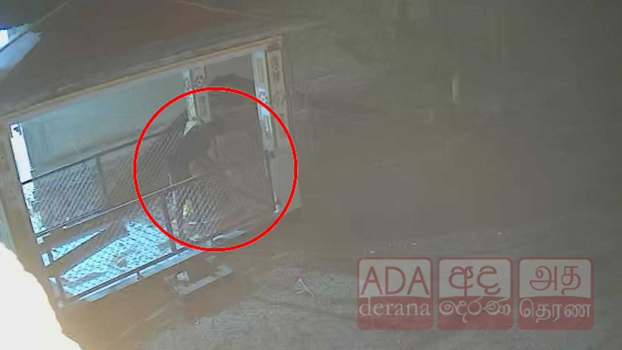 யாழில் ஆலய சிலையைச் சேதப்படுத்திய நபர் பொலிஸாரால் கைது!