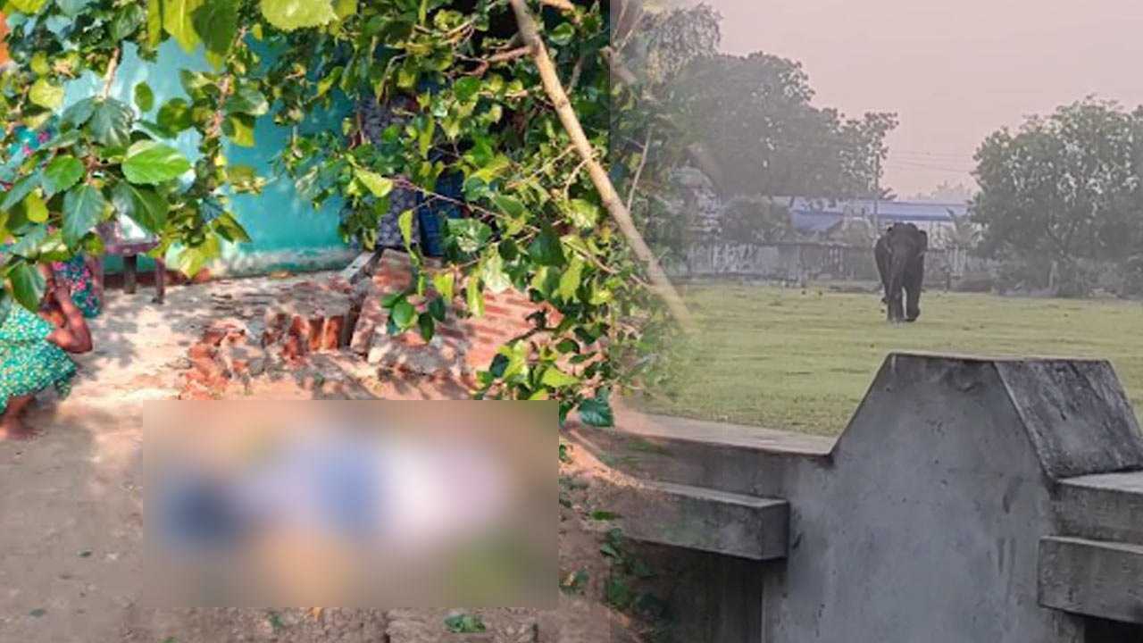 கொக்கட்டிச்சோலை குடியிருப்புக்குள் புகுந்த காட்டு யானை!