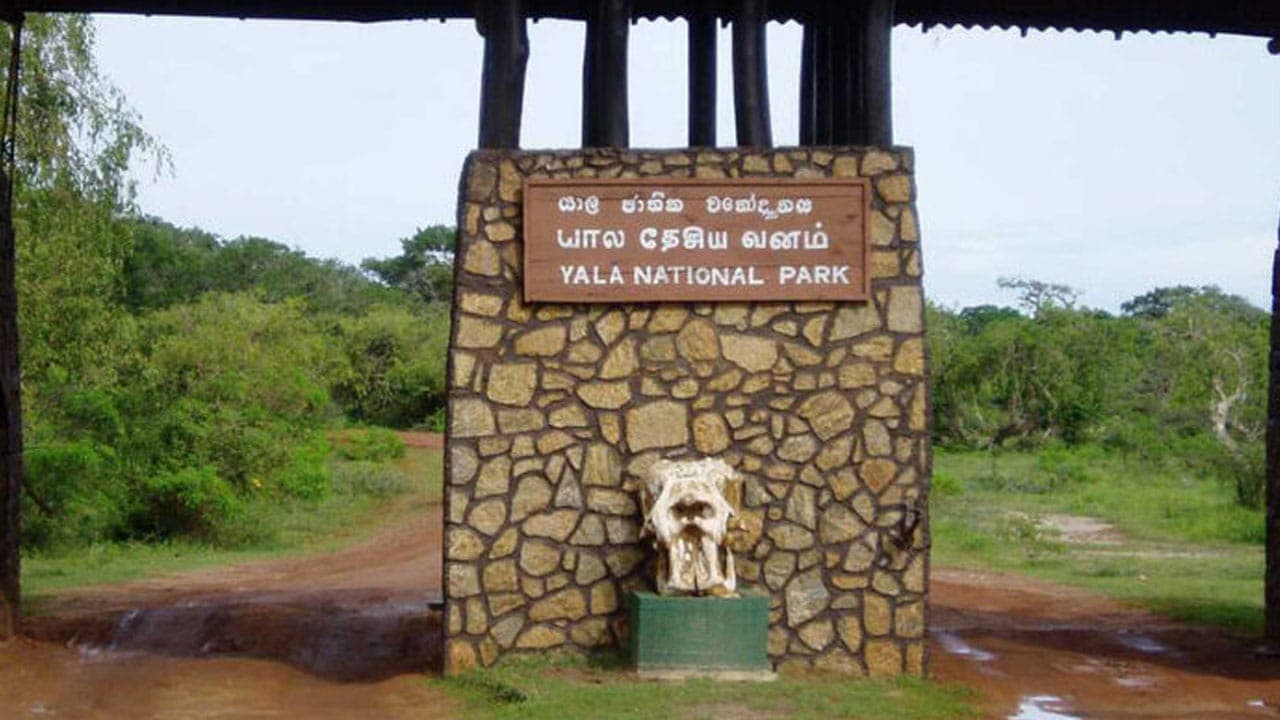 யால தேசிய வனத்தின்  2 வலயங்களையும் மீண்டும் திறக்க தீர்மானம் 