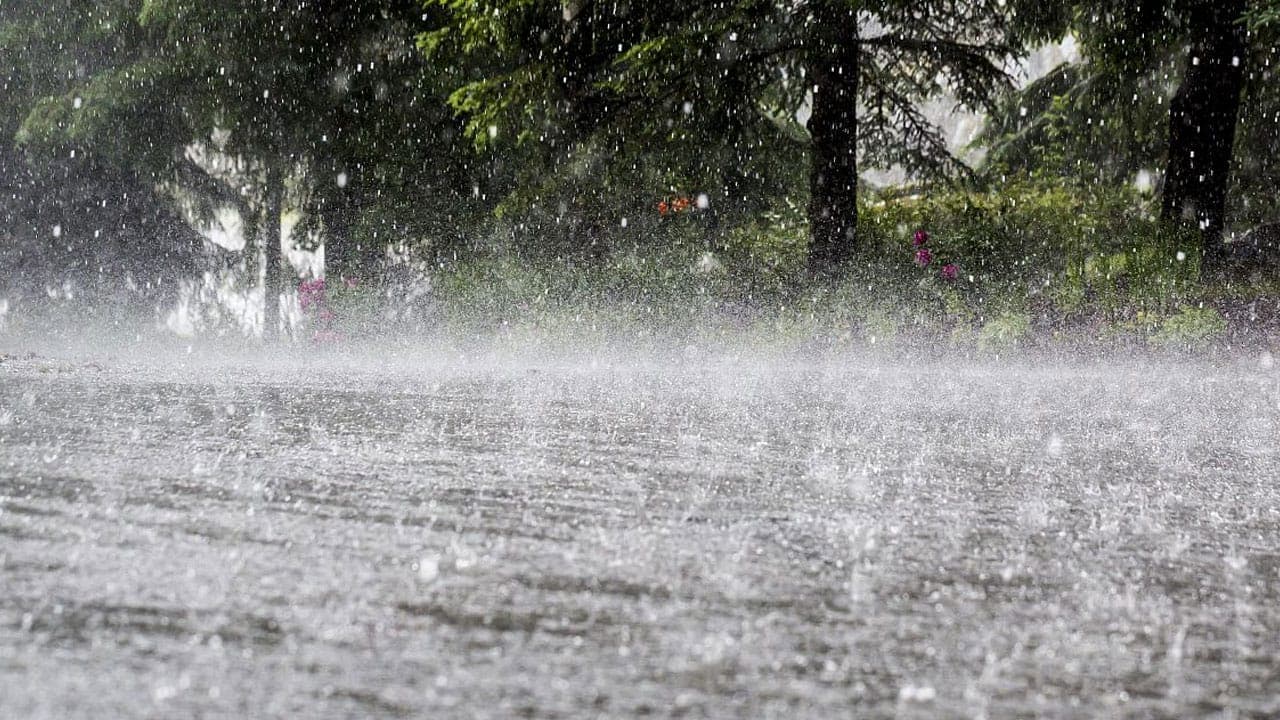 இன்று மாலையும் பலத்த மழைக்கு வாய்ப்பு