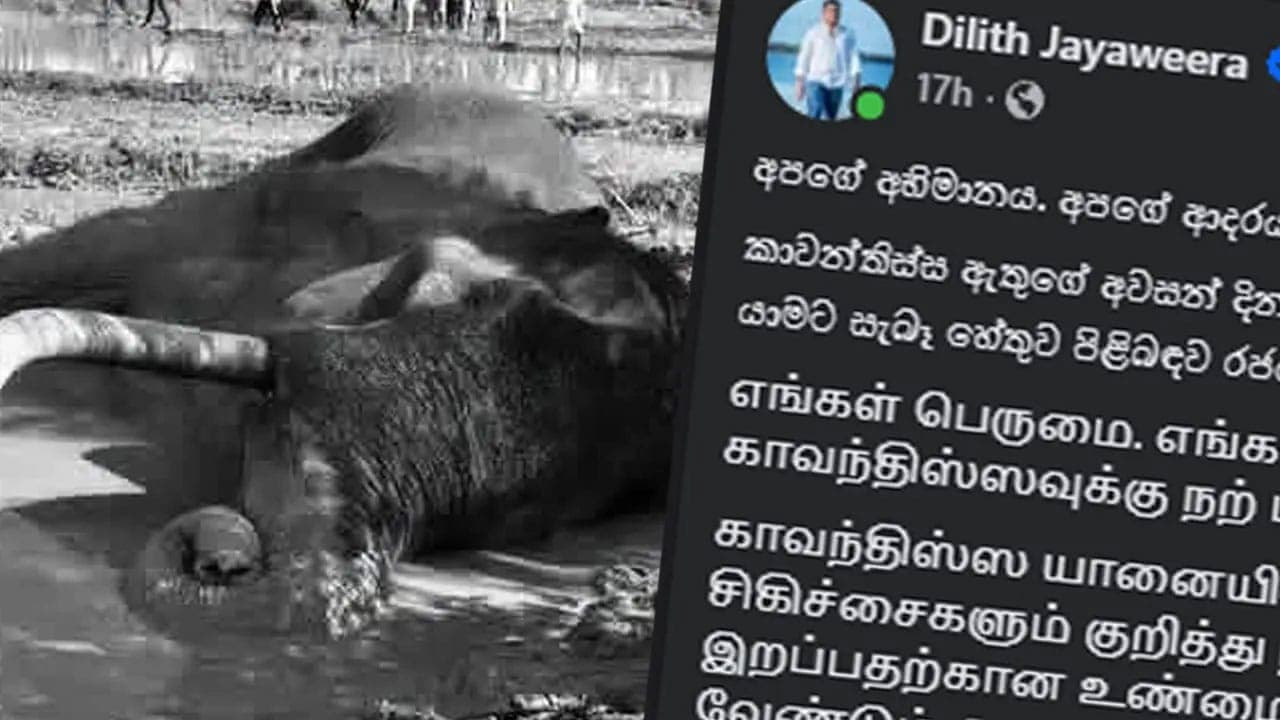  காவன்திஸ்ஸவின் மரணம் தொடர்பில் திலித் ஜயவீர உருக்கமான பதிவு!