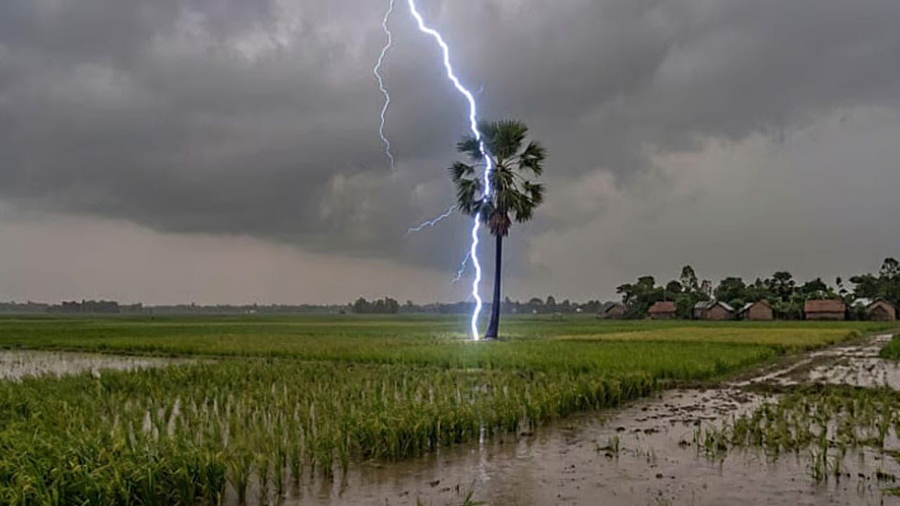 தமிழகத்தின் 7 மாவட்டங்களில் இடி, மின்னல் தாக்கும் அபாயம்