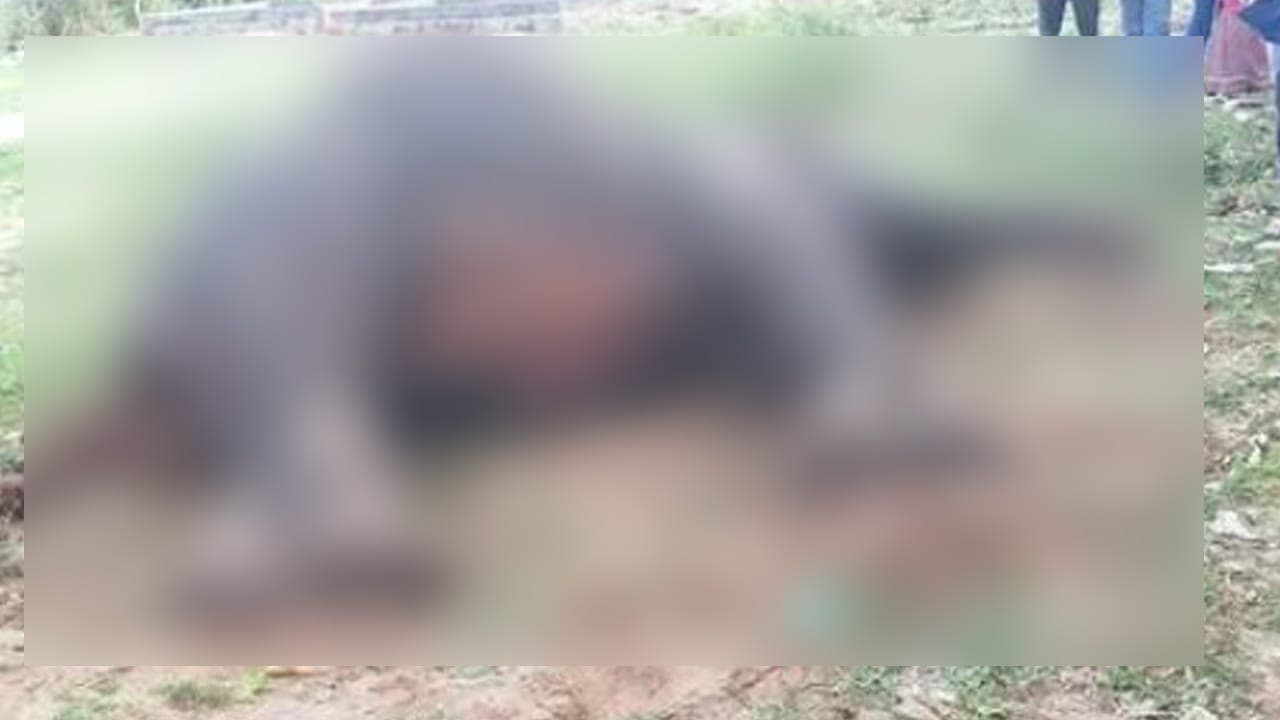 ஊறணி பாலத்திற்கு அருகில் யானை உயிரிழப்பு!