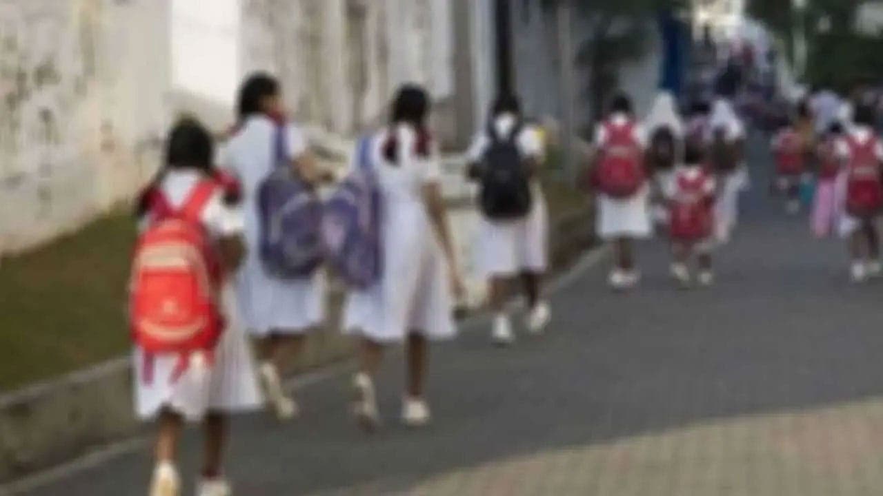 பாடசாலைகளை நடத்துவது தொடர்பில் தீர்மானிக்க மாகாண கல்வி அதிகாரிகளுக்கு அதிகாரம்!