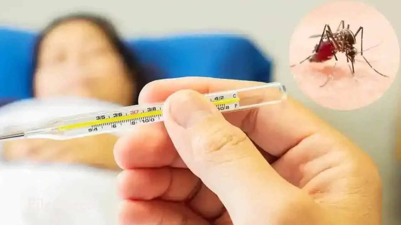 டெங்கு அதிஅபாய வலயத்தில் 28 சுகாதார வைத்திய அதிகாரி பிரிவுகள்