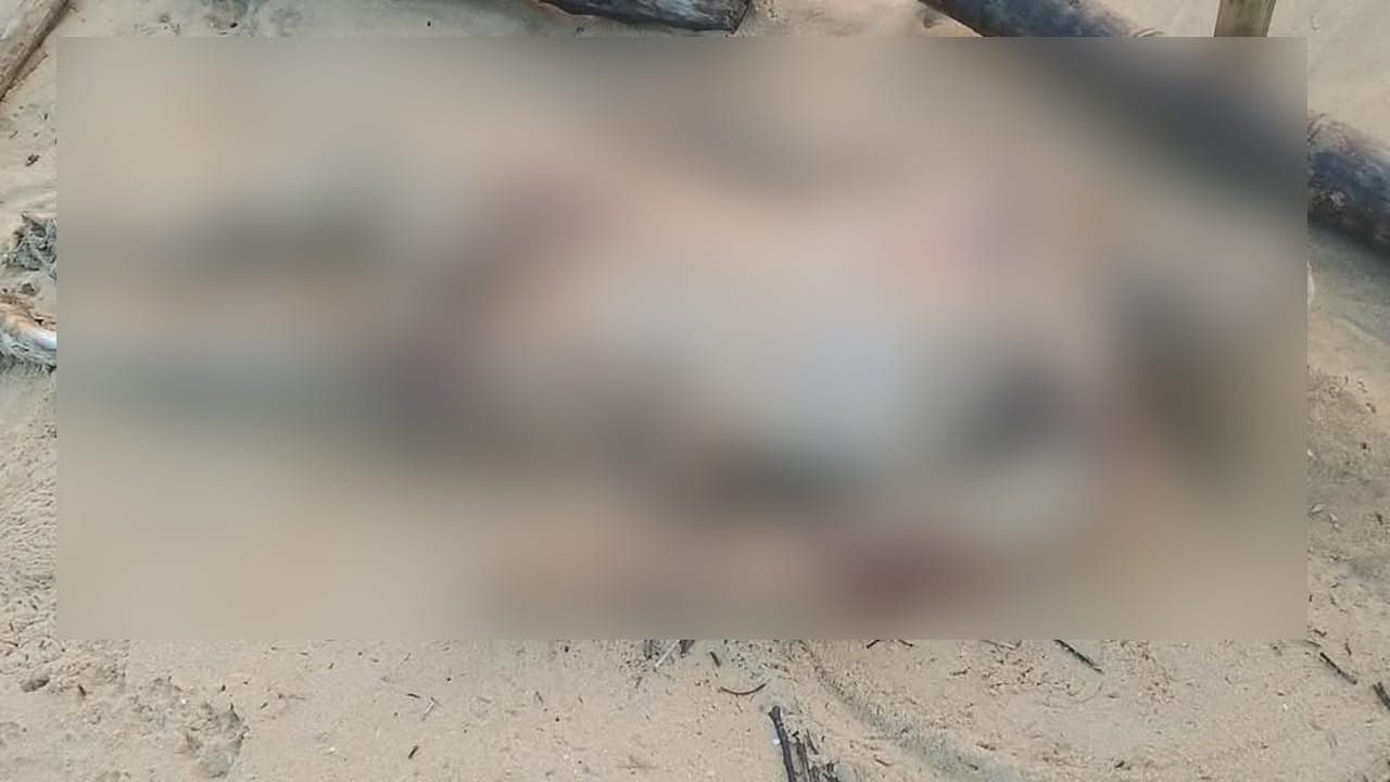 கற்பிட்டி கடற்கரையில் உருக்குலைந்த நிலையில் சடலம் மீட்பு