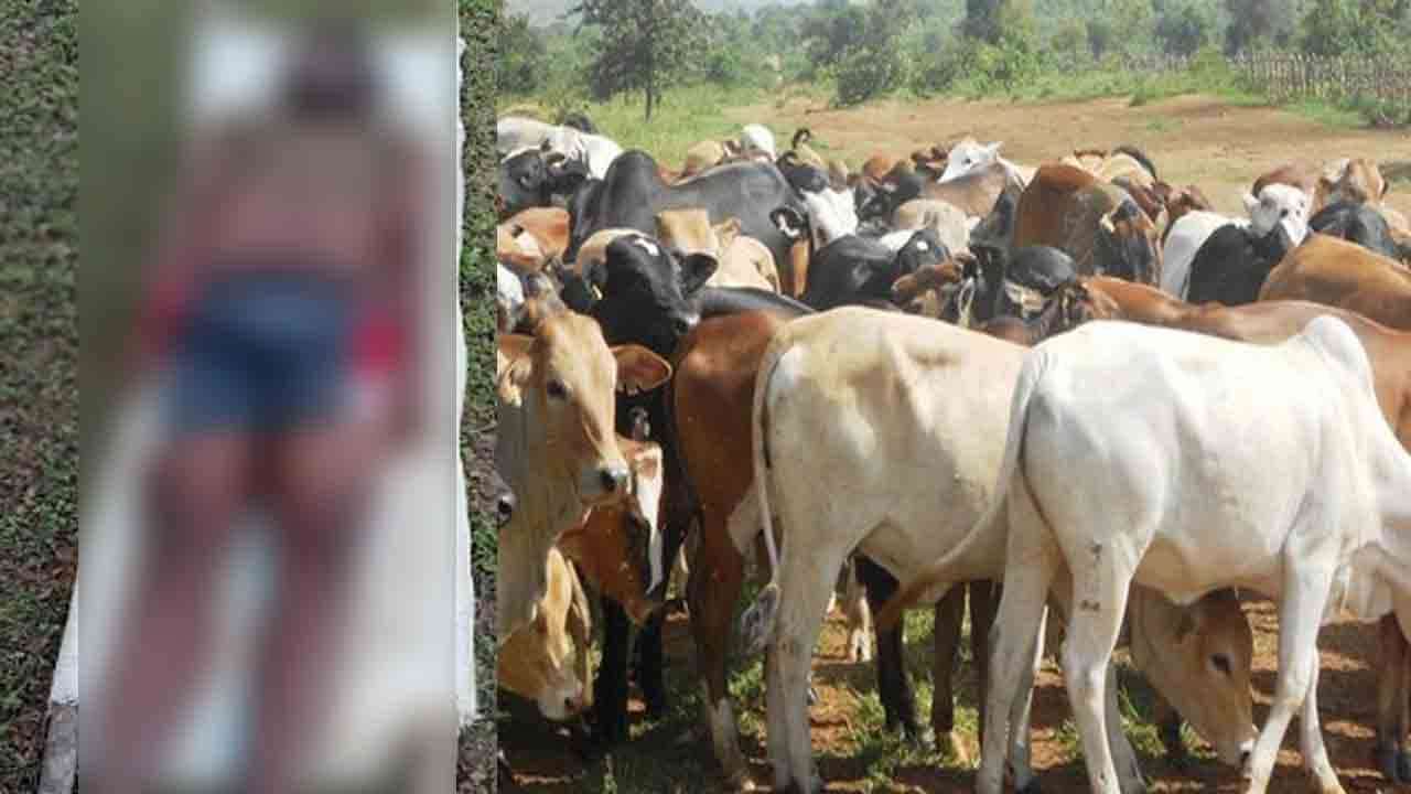 19 வயது இளைஞன் சடலமாக மீட்பு