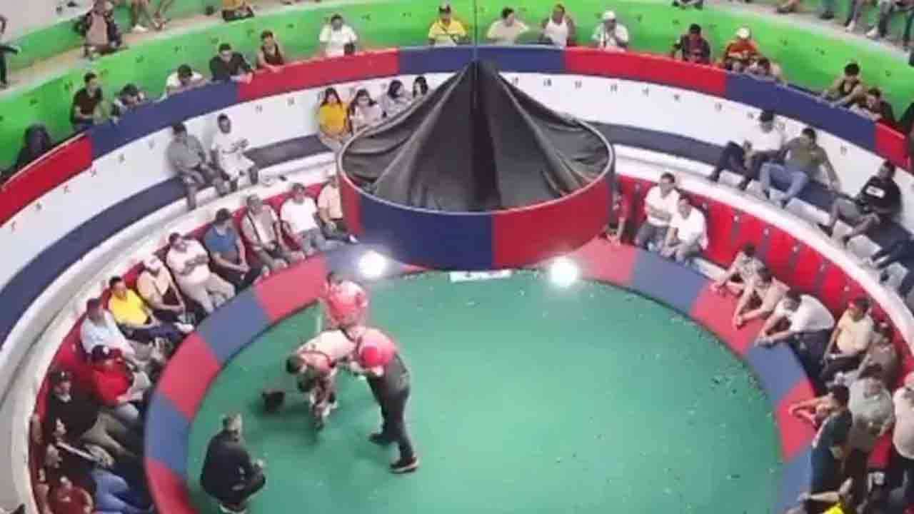 சேவல் சண்டை அரங்கில் துப்பாக்கிச் சூடு - பலர் பலி