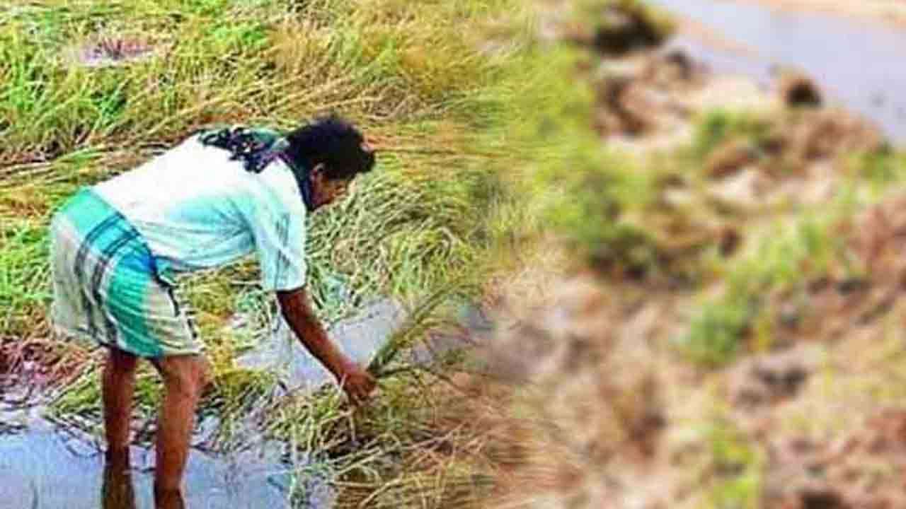 பயிர்ச் சேதங்களுக்கான நட்டஈட்டை துரிதப்படுத்த நடவடிக்கை