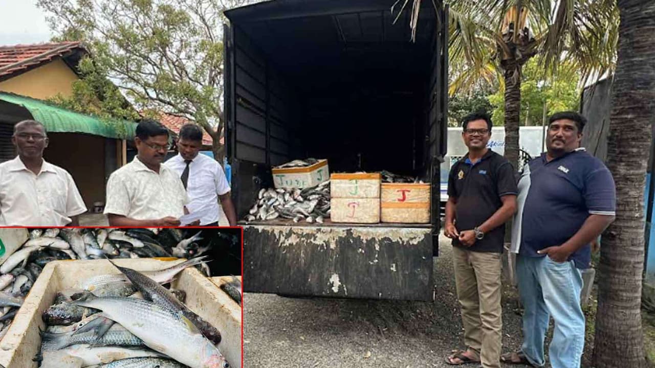 டைனமைட் வெடிபொருள் பாவித்து மீன் பிடி