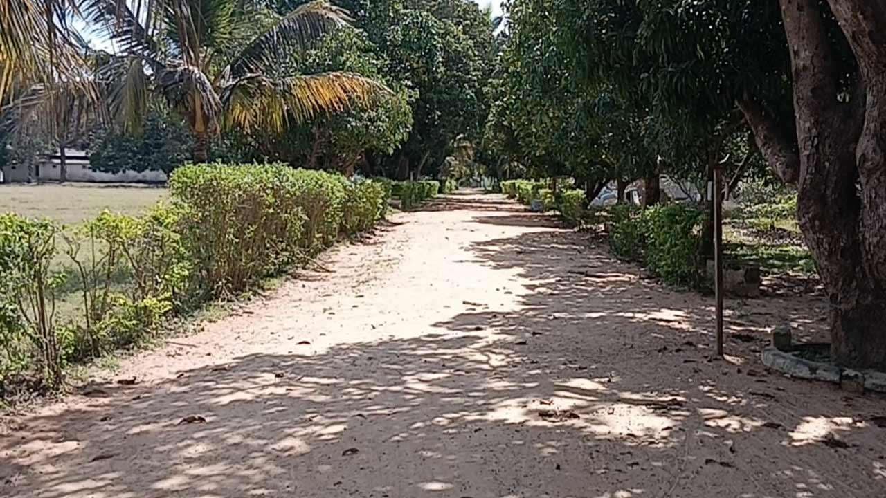 இராணுவத்தினர் வசமிருந்த காணி விடுவிப்பு!  