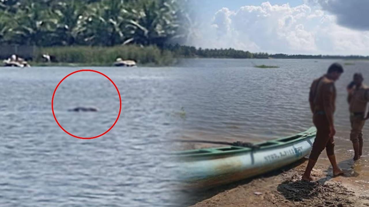 பனங்காடு பாலத்தடியில் சடலம் மீட்பு!