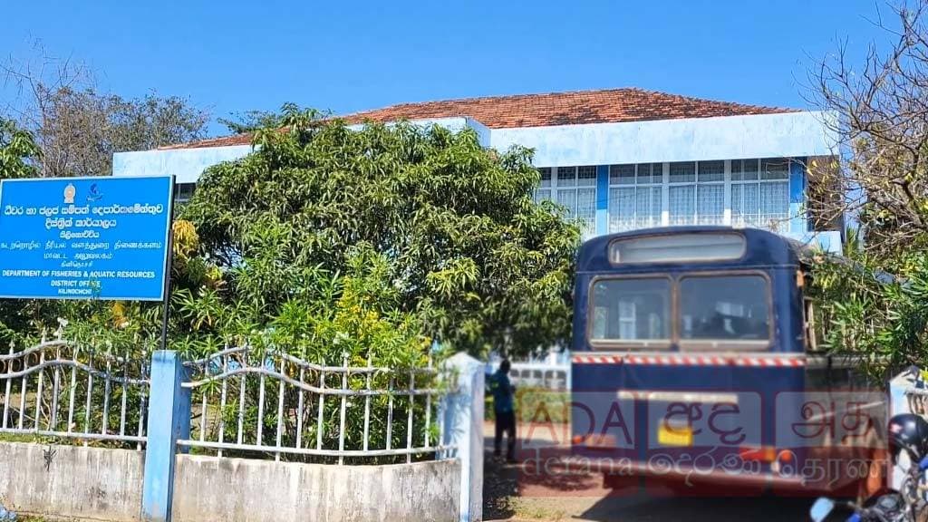 கடலட்டை பிடித்த 36 மீனவர்கள் பிணையில் விடுதலை!