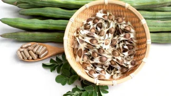 குடிநீரில் மைக்ரோபிளாஸ்டிக்கை அகற்றும் முருங்கை விதைகள்
